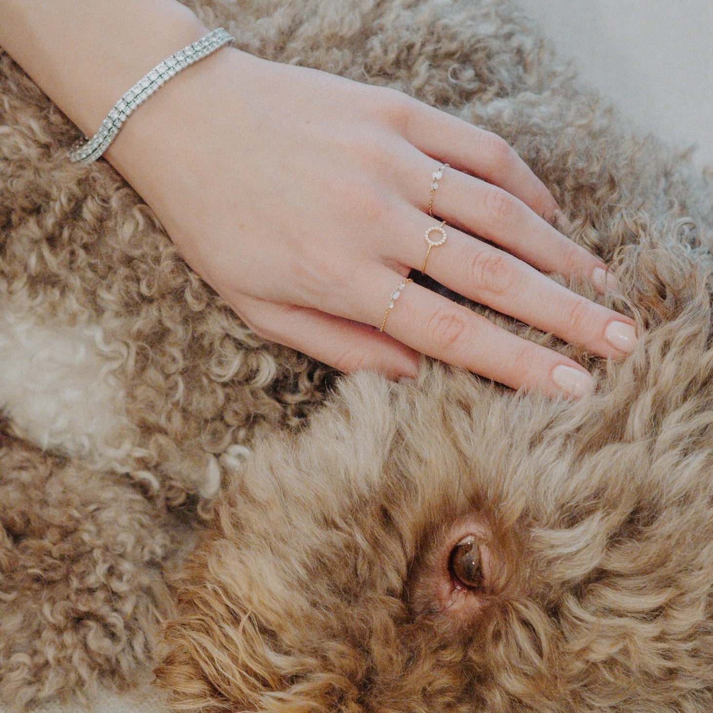 Bracciale TENNIS - TheJewelryDog