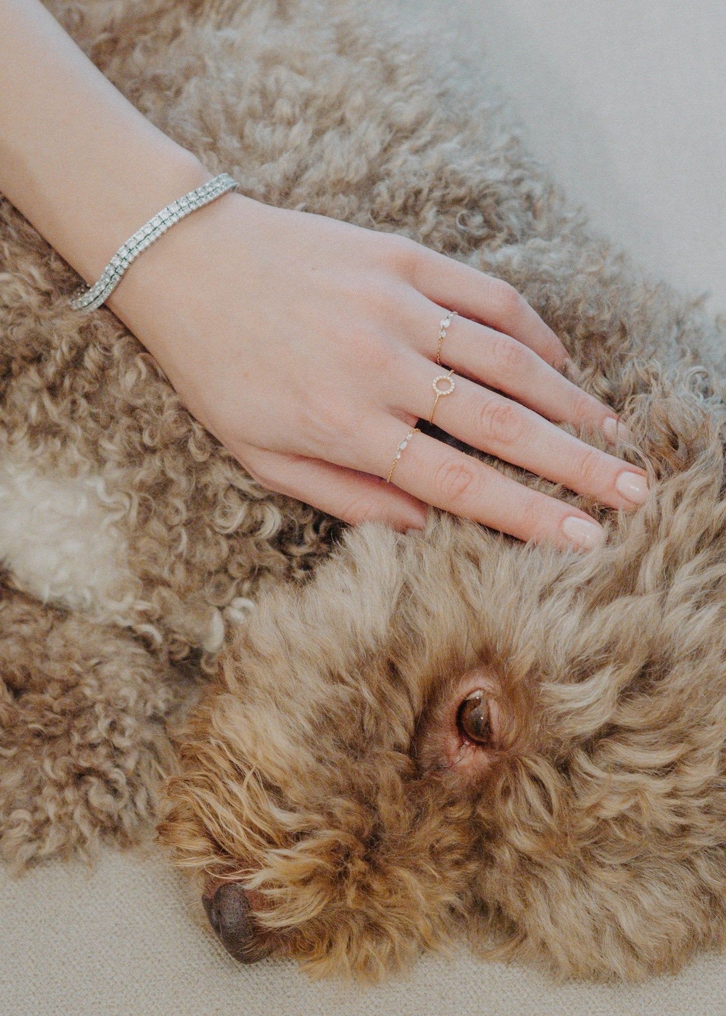 Bracciale TENNIS - TheJewelryDog
